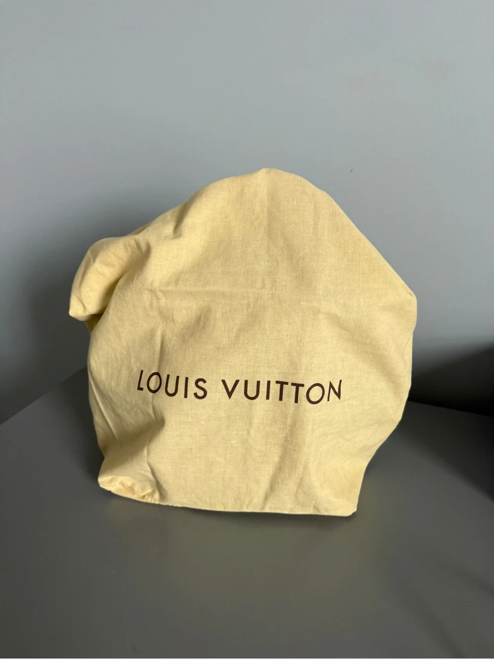 Vintage Y2K Louis Vuitton Monogram Ellipse PM Bag France 2000 w/auth Lock & Key